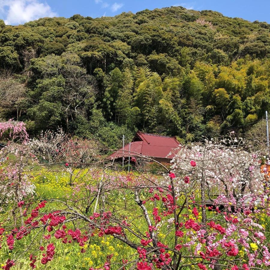 Toraya Attic Vila Shimoda  Exterior foto